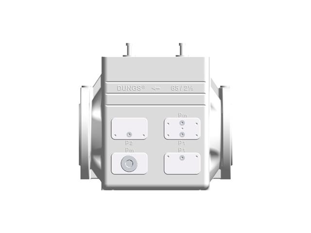 DUNGS VB-065 Double Valve Body