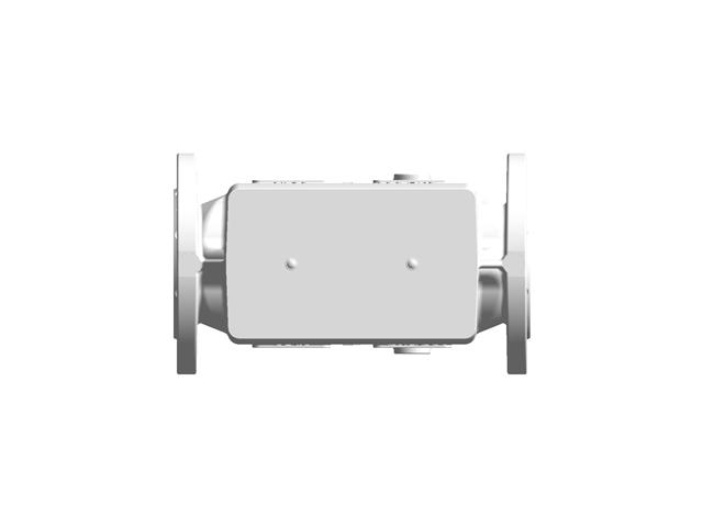 DUNGS VB-080 Double Valve Body