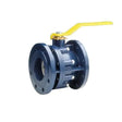 Econex SFF50 2" Flanged Ball Valve-Ball Valve